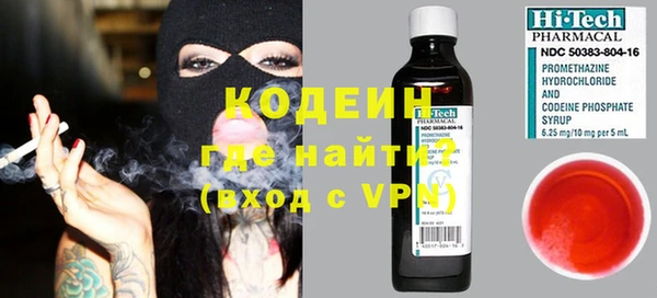 сатива Сатка