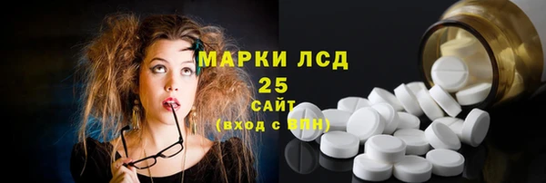 сатива Сатка