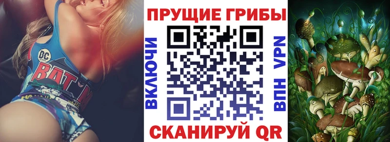 Псилоцибиновые грибы Psilocybe  что такое   Артёмовск 